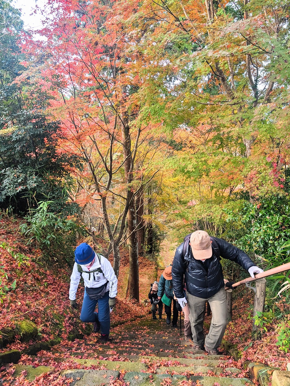 紅葉の美しい房総の低山　七面山に登る