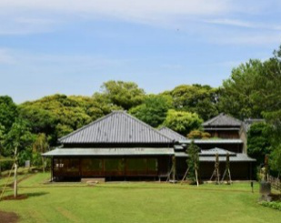 【緑を楽しむ講座 習志野】浅間神社の極相林・千葉大園芸学部構内・戸定邸の緑を巡る松戸散歩