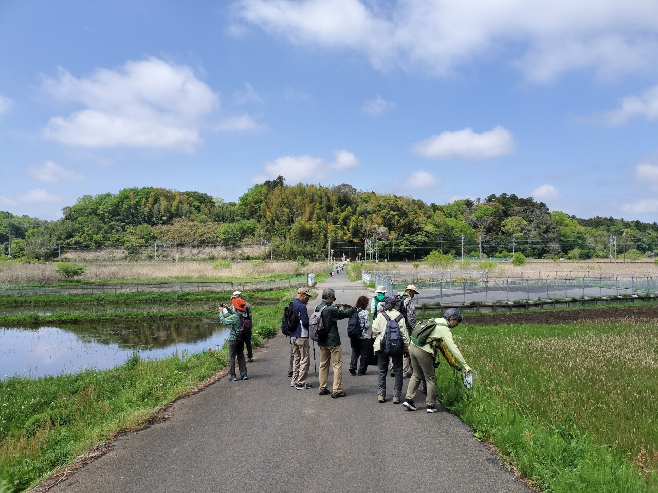 物井　田園風景