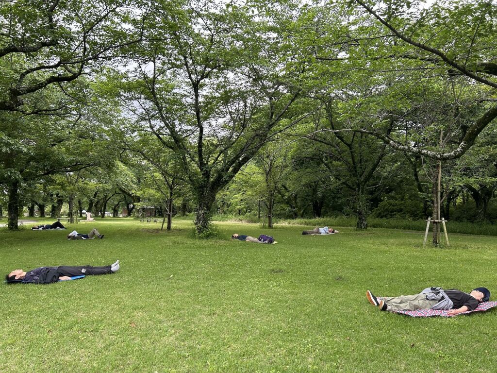 寝ころび体験