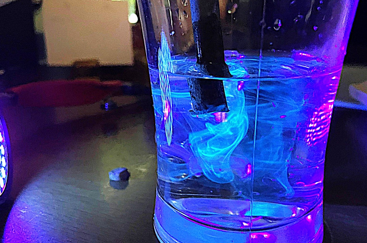 樹液が光るふしぎ樹木（アオダモ）　みどりの教室（受託）
