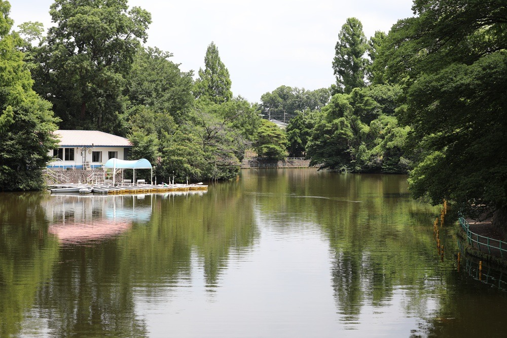 武蔵関公園で散策　緑を楽しむ講座