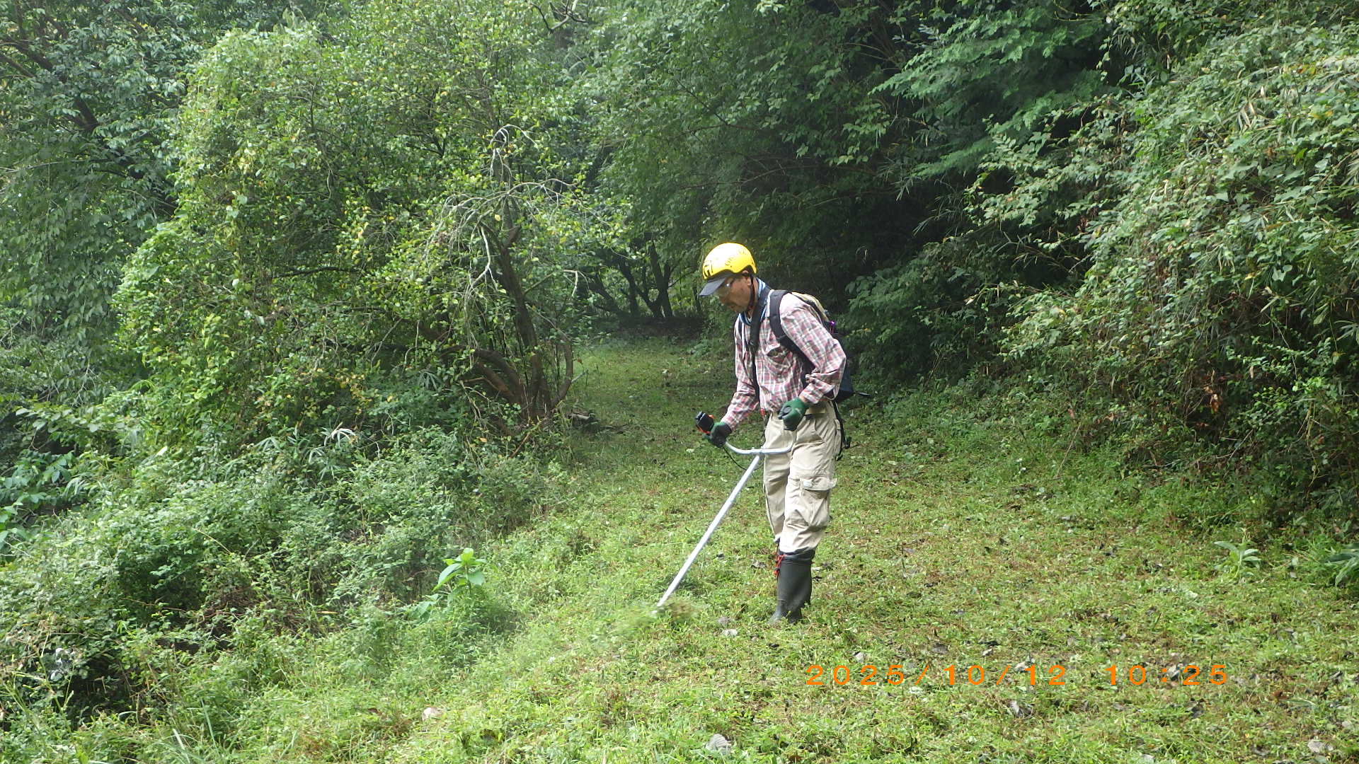 ＦＩＣの森での活動