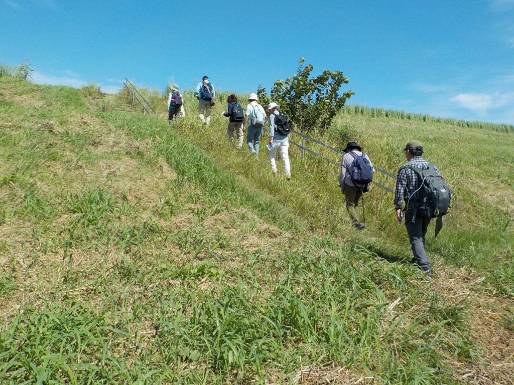 利根の川風に吹かれよう1　緑を楽しむ講座