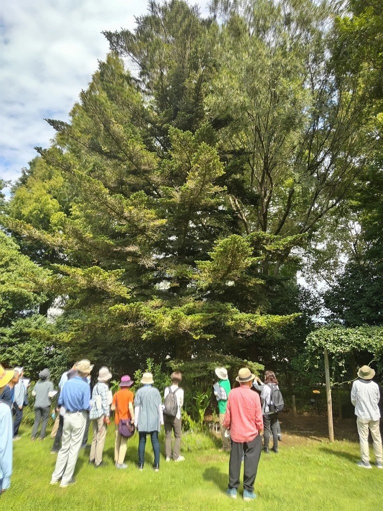 モミの木の前で　　みどりの講座（受託）