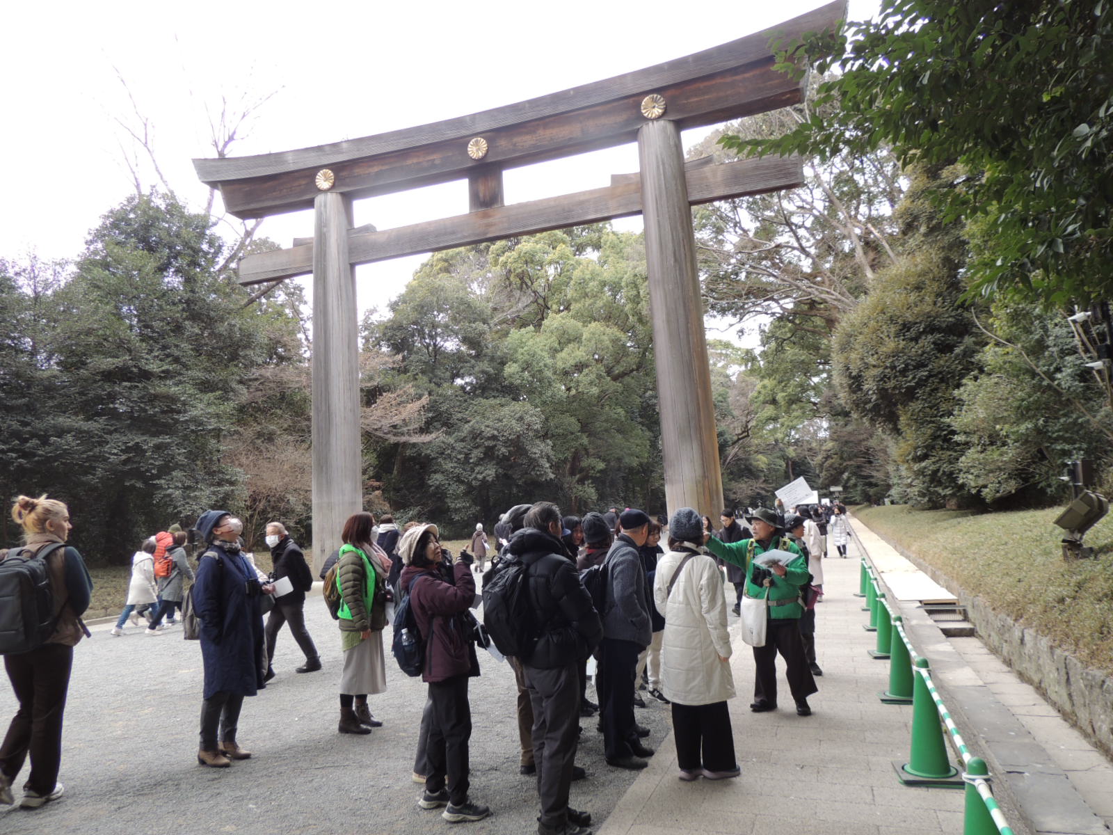 明治神宮の森を歩き隊