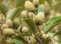 大きな視点で自然を見る（第３回 最終回）