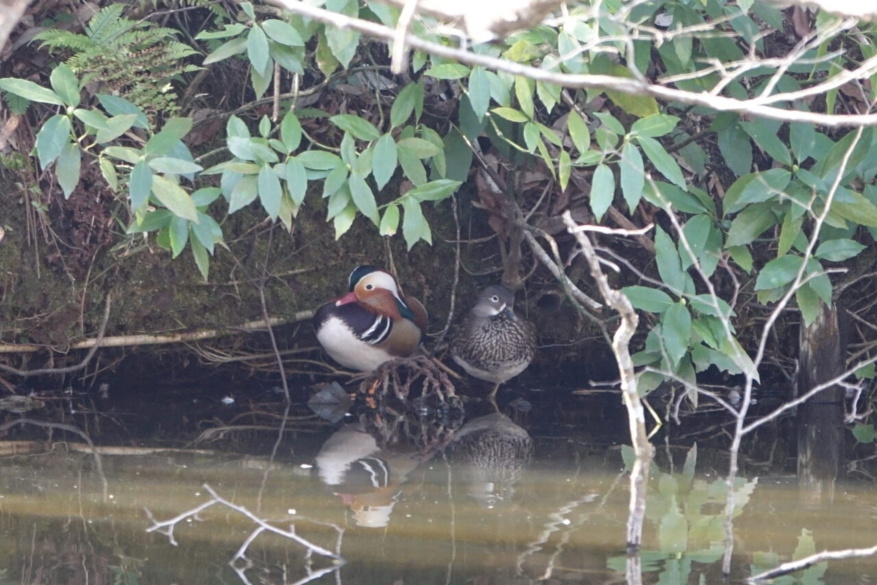 地域部会(千葉中央部会) 月例部会3月
