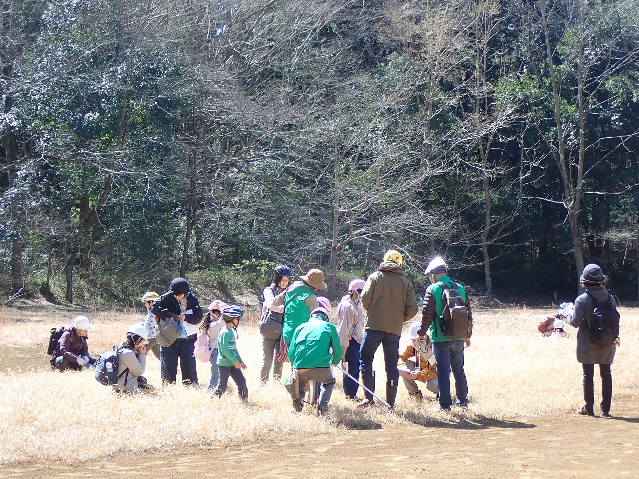 自然ウォッチング３月　おはよう！！