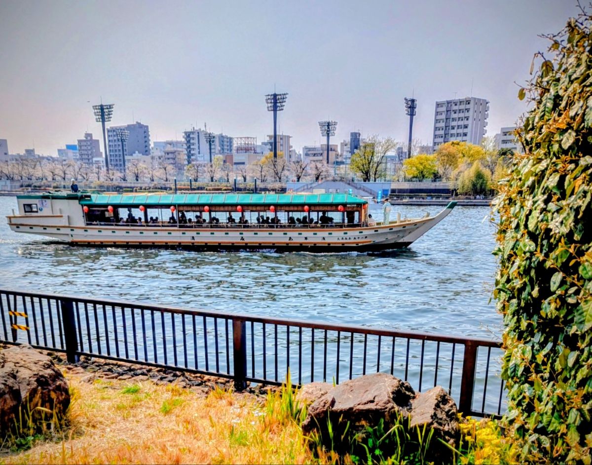 梅若伝説と墨堤桜巡り～古地図で散策　隅田川・向島百花園～