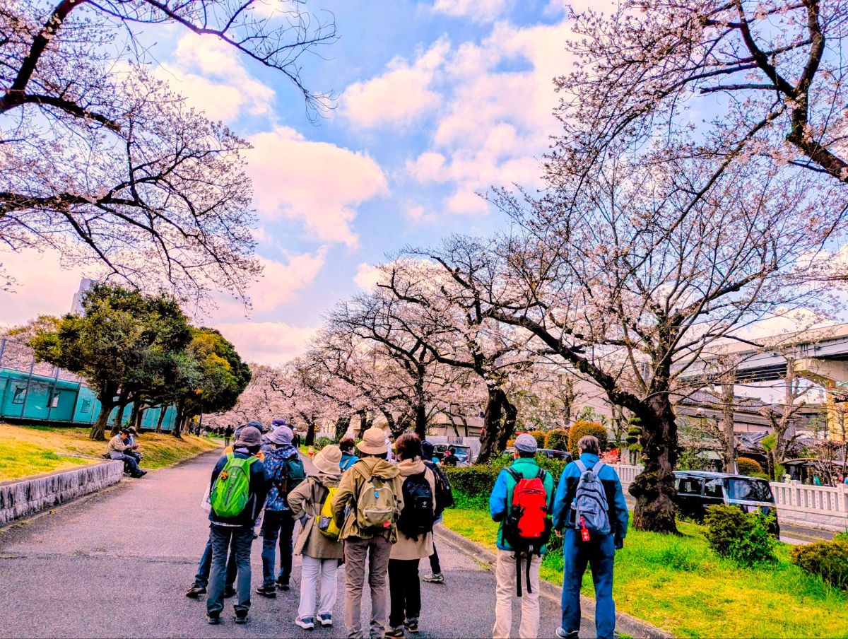 梅若伝説と墨堤桜巡り～古地図で散策　隅田川・向島百花園～