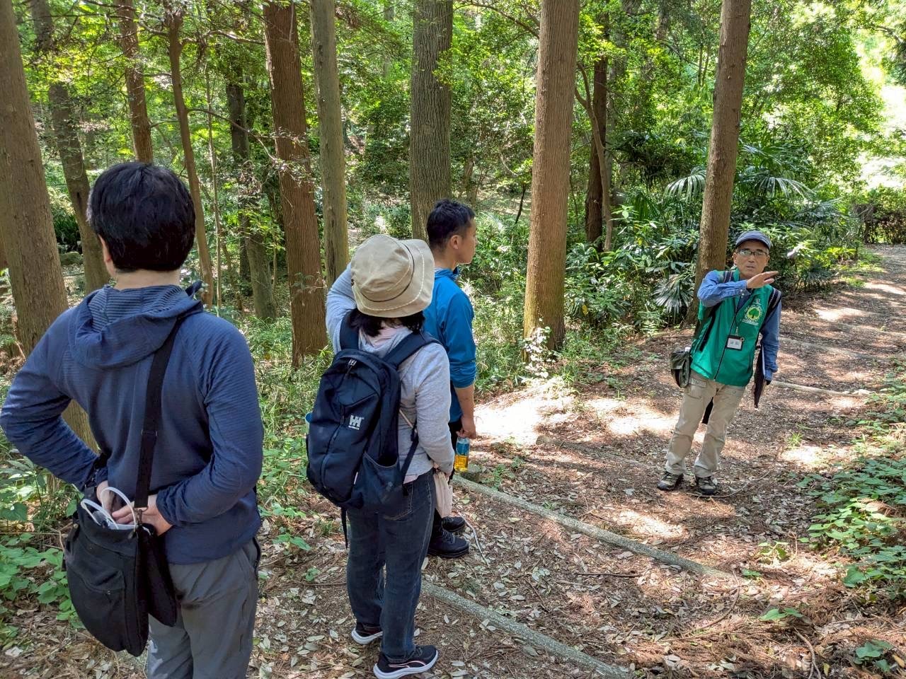 新緑の森でリフレッシュ　健康と癒しの森林浴